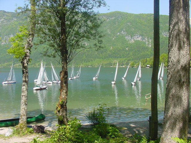 Slika