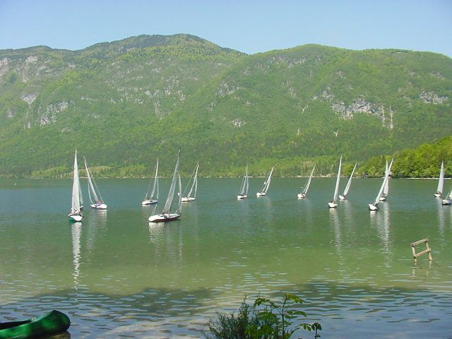 Slika