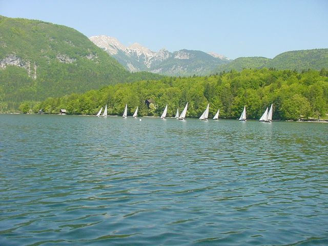 Slika