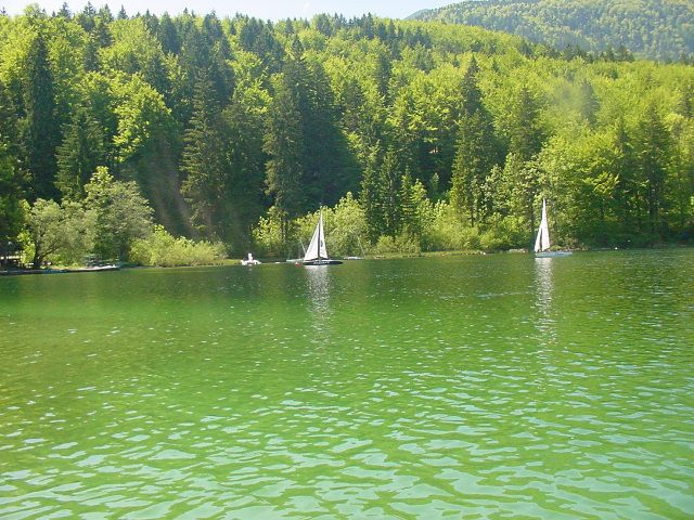 Slika