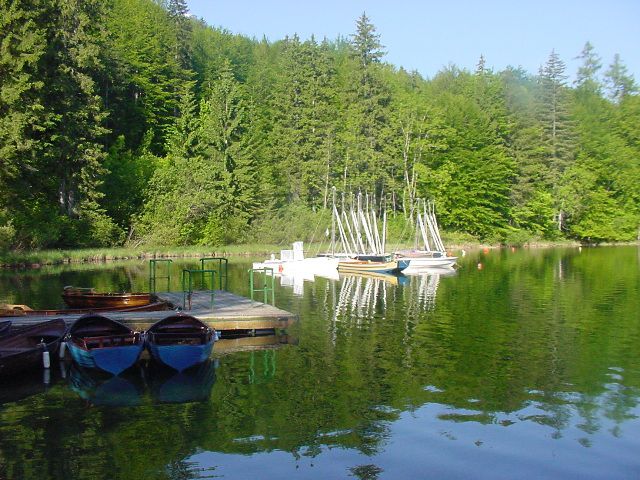 Slika