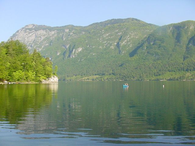 Slika