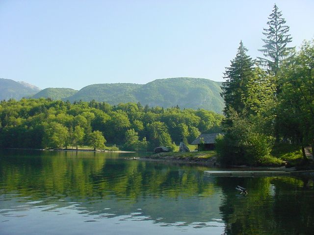 Slika