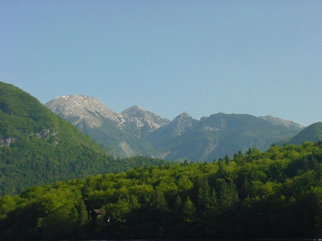Slika