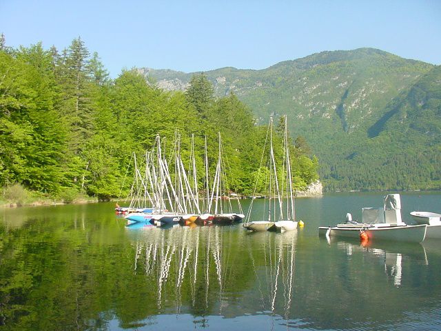 Slika
