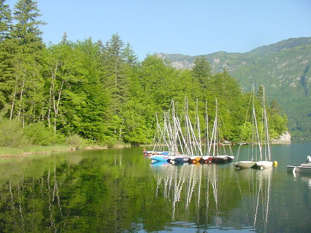 Slika