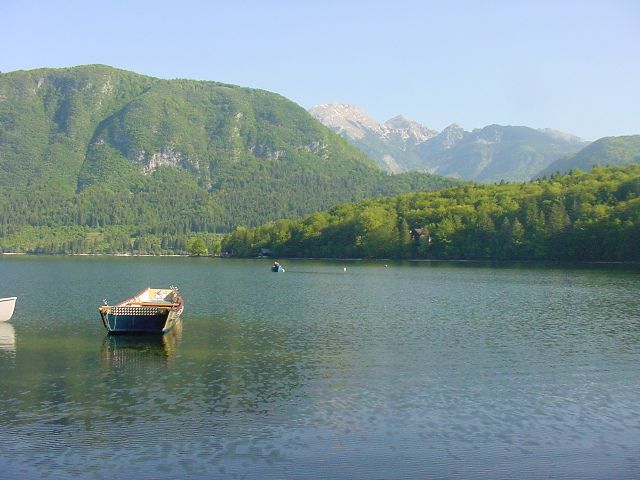 Slika