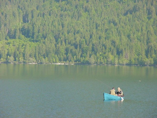 Slika