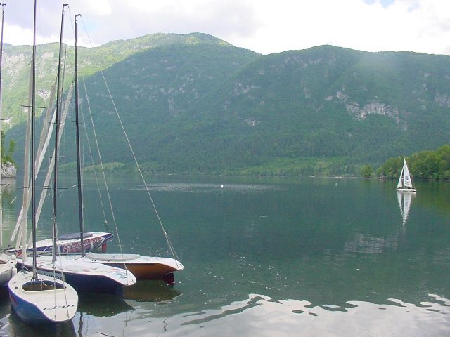 Slika
