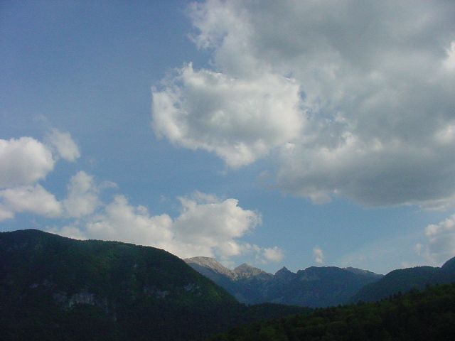 Slika