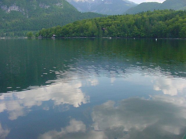 Slika
