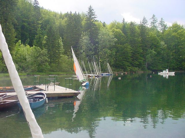 Slika