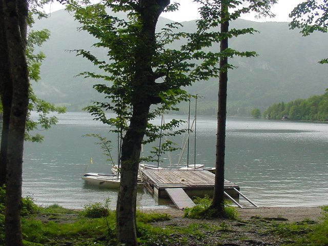 Slika