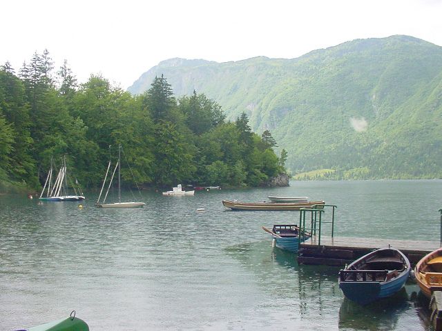 Slika