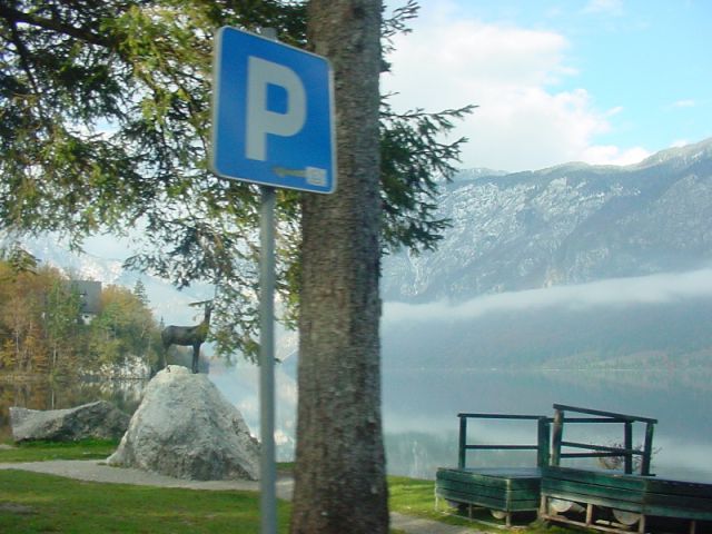 Slika