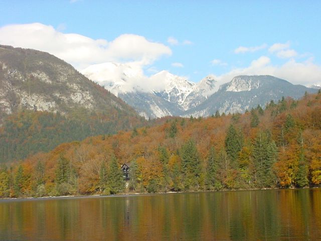 Slika