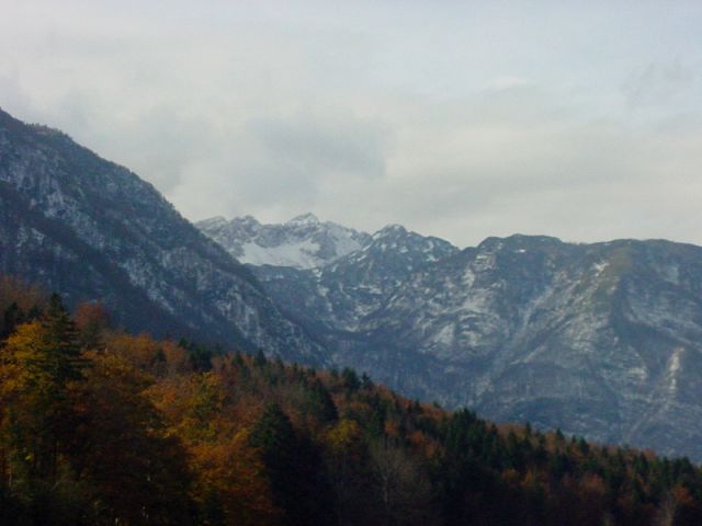Slika
