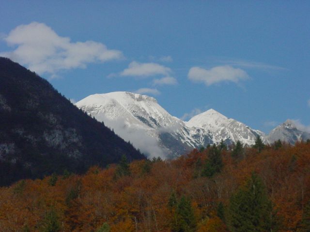 Slika