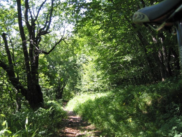 Javorovica 14-07-2007 - foto
