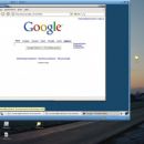 Ubuntu Linux v VMWare playerju.. dela super..