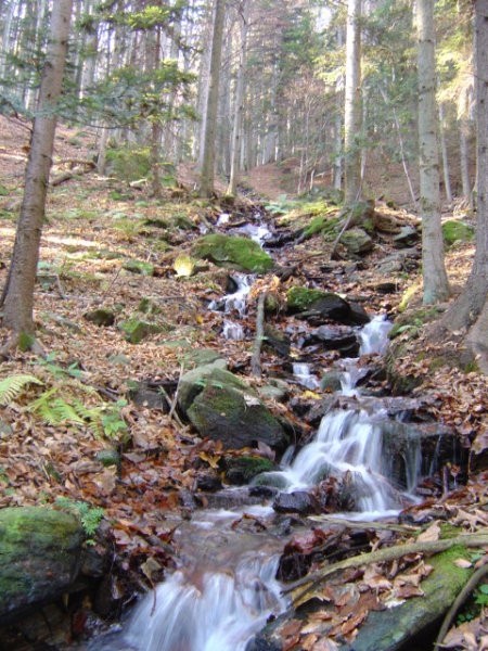 Smolnik - november 2005 - foto