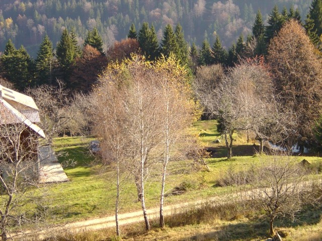 Smolnik - november 2005 - foto