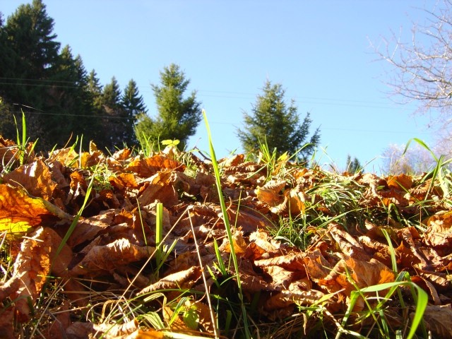 Smolnik - november 2005 - foto