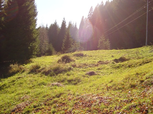 Smolnik - november 2005 - foto