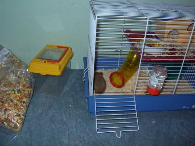 Hrček - foto