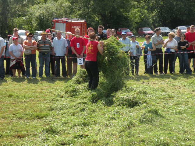 Regijske kmečke igre - Slomškova Ponikva 2009 - foto