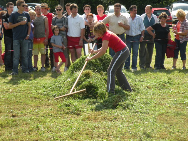 Regijske kmečke igre - Slomškova Ponikva 2009 - foto