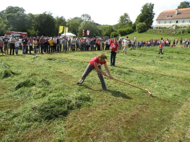 Regijske kmečke igre - Slomškova Ponikva 2009 - foto