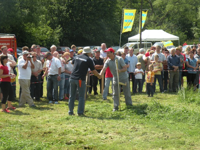 Regijske kmečke igre - Slomškova Ponikva 2009 - foto