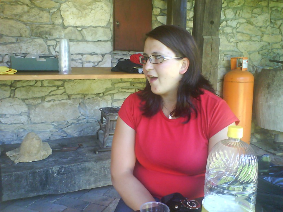 Piknik DPM Šentjur po Kmečkih igrah - foto povečava