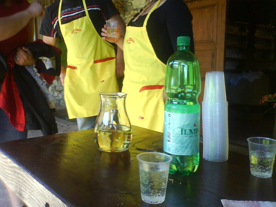 Piknik DPM Šentjur po Kmečkih igrah - foto povečava