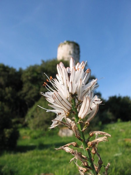 Porec06 - foto