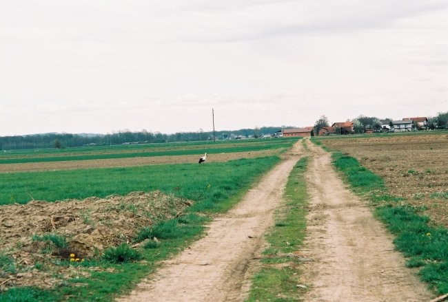 Velika noč - foto povečava