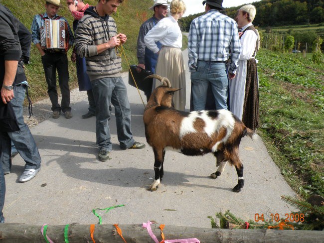 Šranganje Petra in Matevž - 4.10.2008 - foto povečava