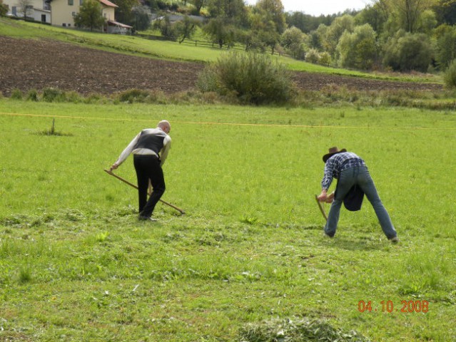 Šranganje Petra in Matevž - 4.10.2008 - foto