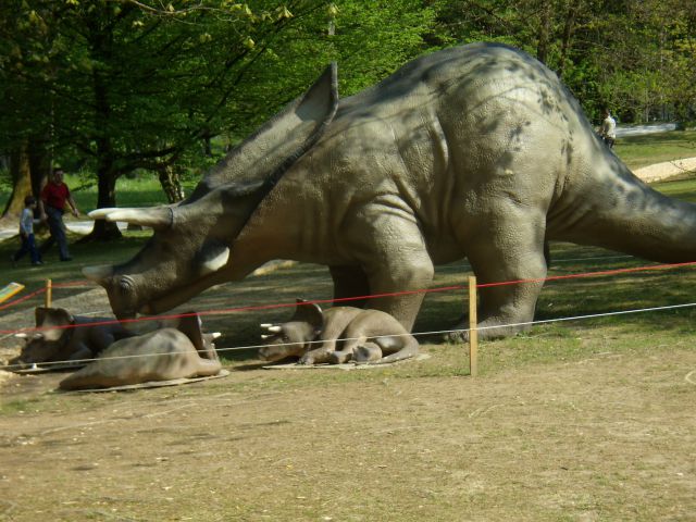 DINOSOUR ATTACK - foto