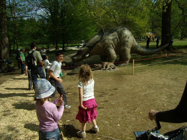 DINOSOUR ATTACK - foto