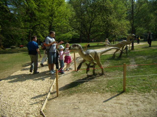 DINOSOUR ATTACK - foto