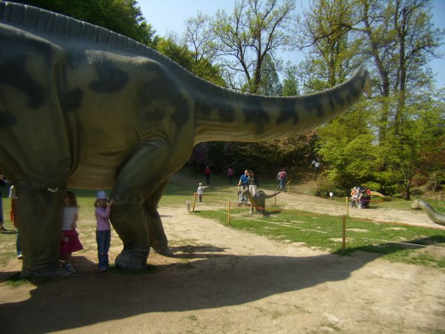 DINOSOUR ATTACK - foto