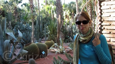 Vrt kaktusov YSL, Maroko