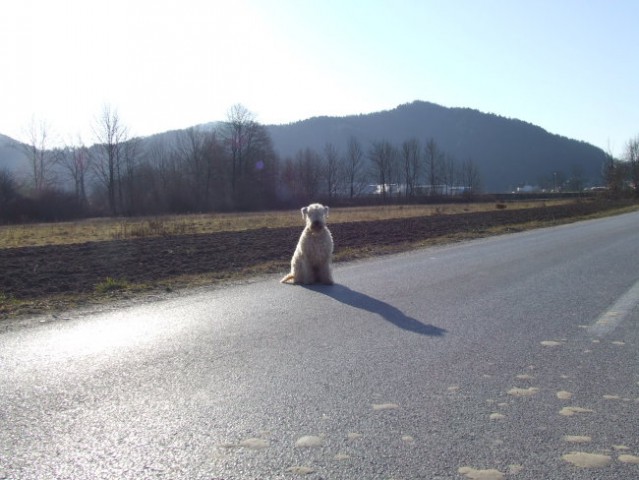 2008.02.16. - Tisa na sprehodu proti čistilni - foto