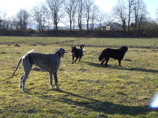 2008.02.16. - Tisa na sprehodu proti čistilni - foto povečava