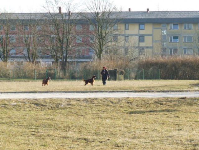 2008.02.18. - Kratki sprehod - foto
