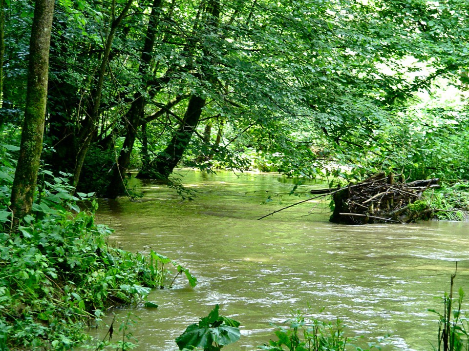 Teren za foto shooting - foto povečava