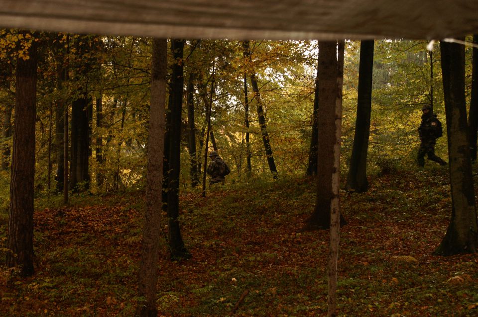 Autumn Harvest 2 - foto povečava