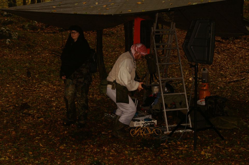 Autumn Harvest 2 - foto povečava